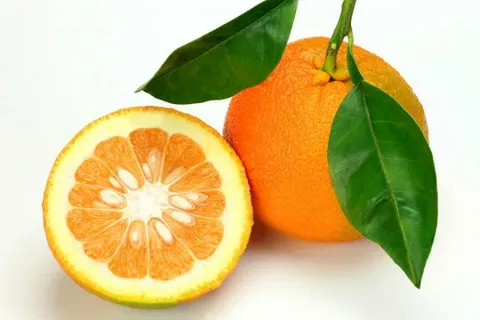 تصویر 2 از خریدکنسانتره نارنج اهرم + قیمت فروش استثنایی